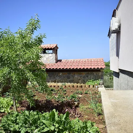 Lejlighed Lucy Bajcici